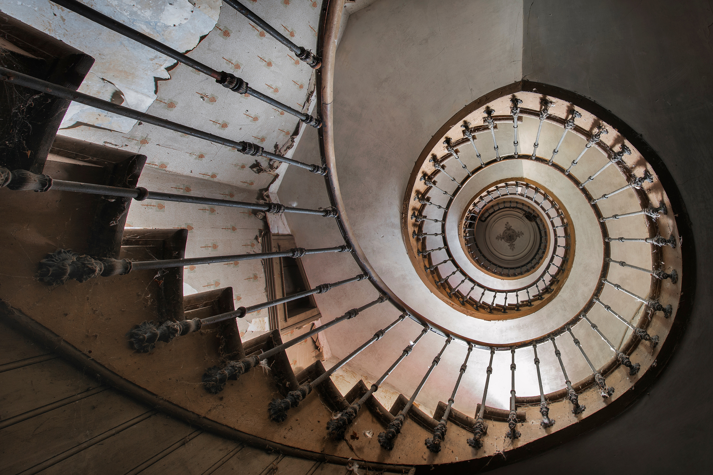 Interno curvilineo in un edificio dimenticato
